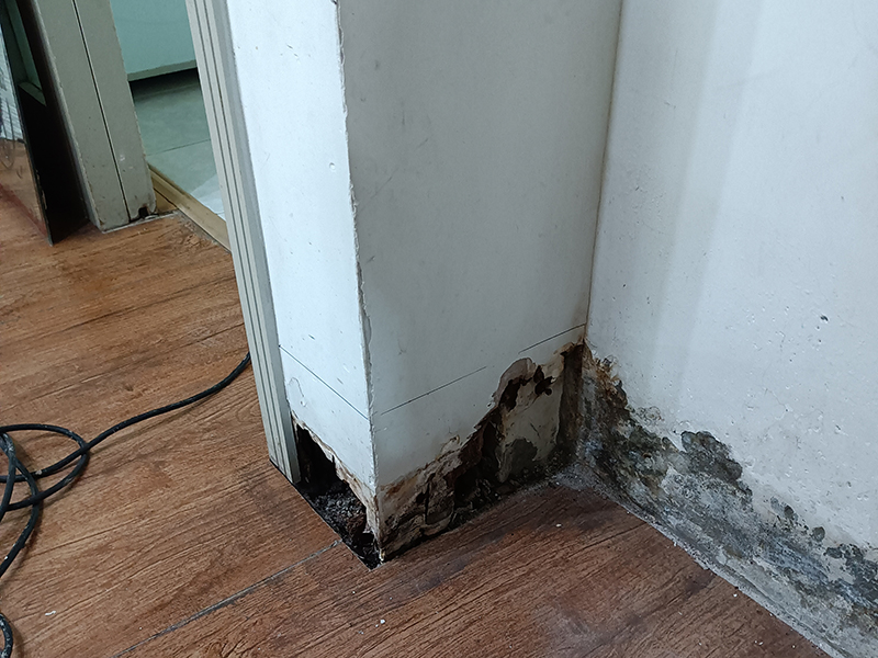 墻壁返潮發(fā)霉怎么處理(圖2) 墻壁返潮發(fā)霉怎么處理(圖2)