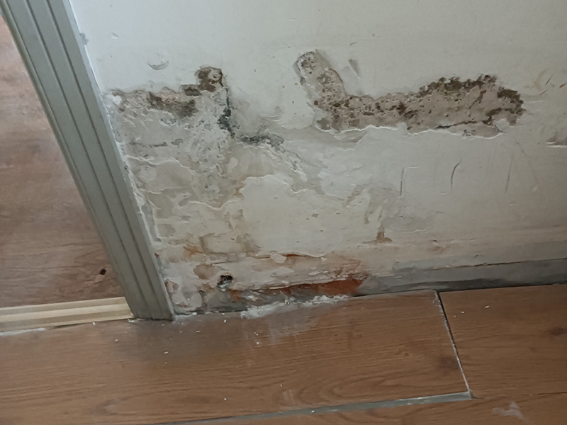 墻壁返潮發(fā)霉怎么處理(圖4) 墻壁返潮發(fā)霉怎么處理(圖4)